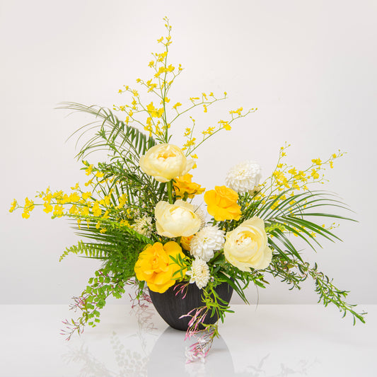 Luxury Designer's Choice