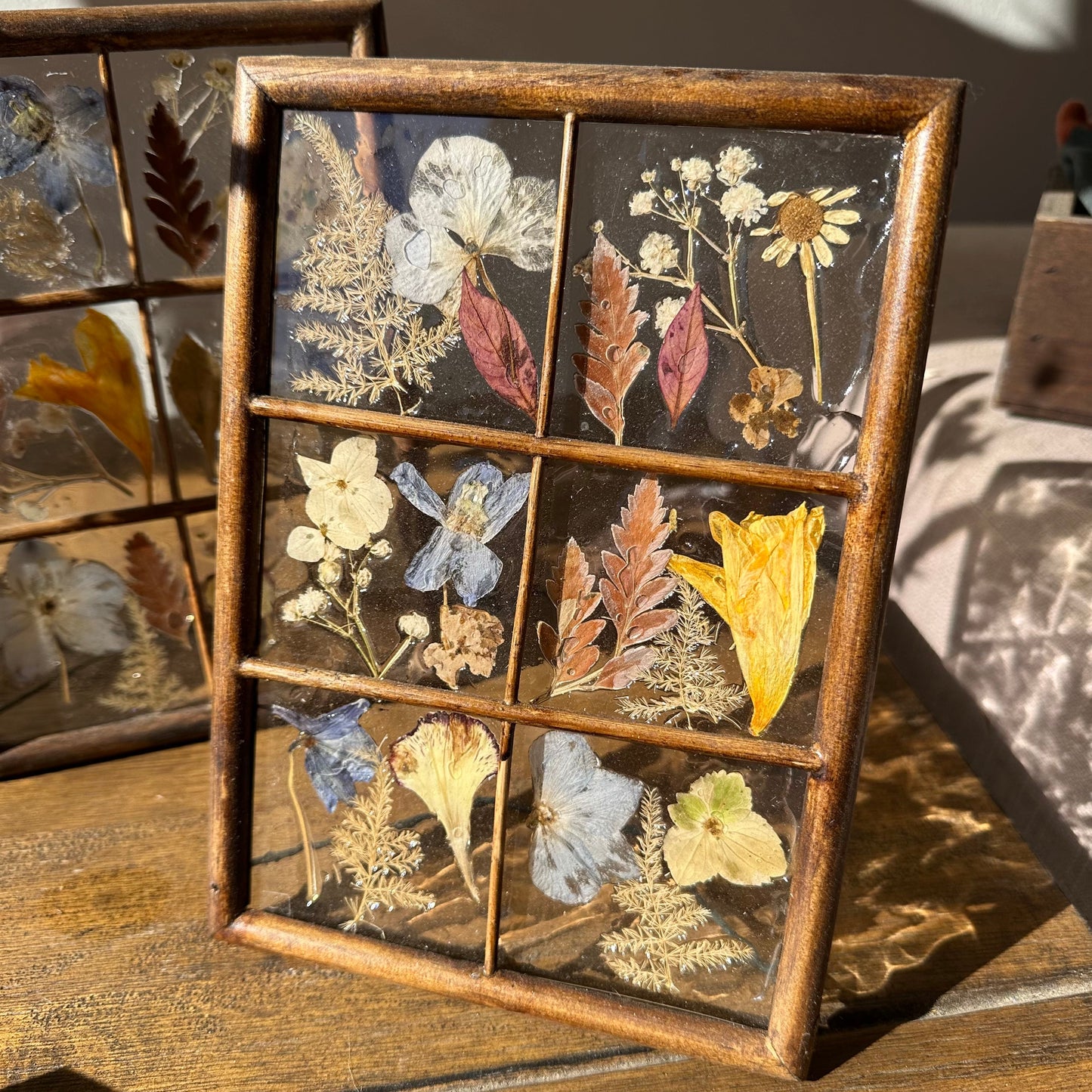 Framed Pressed Flowers - The English Garden