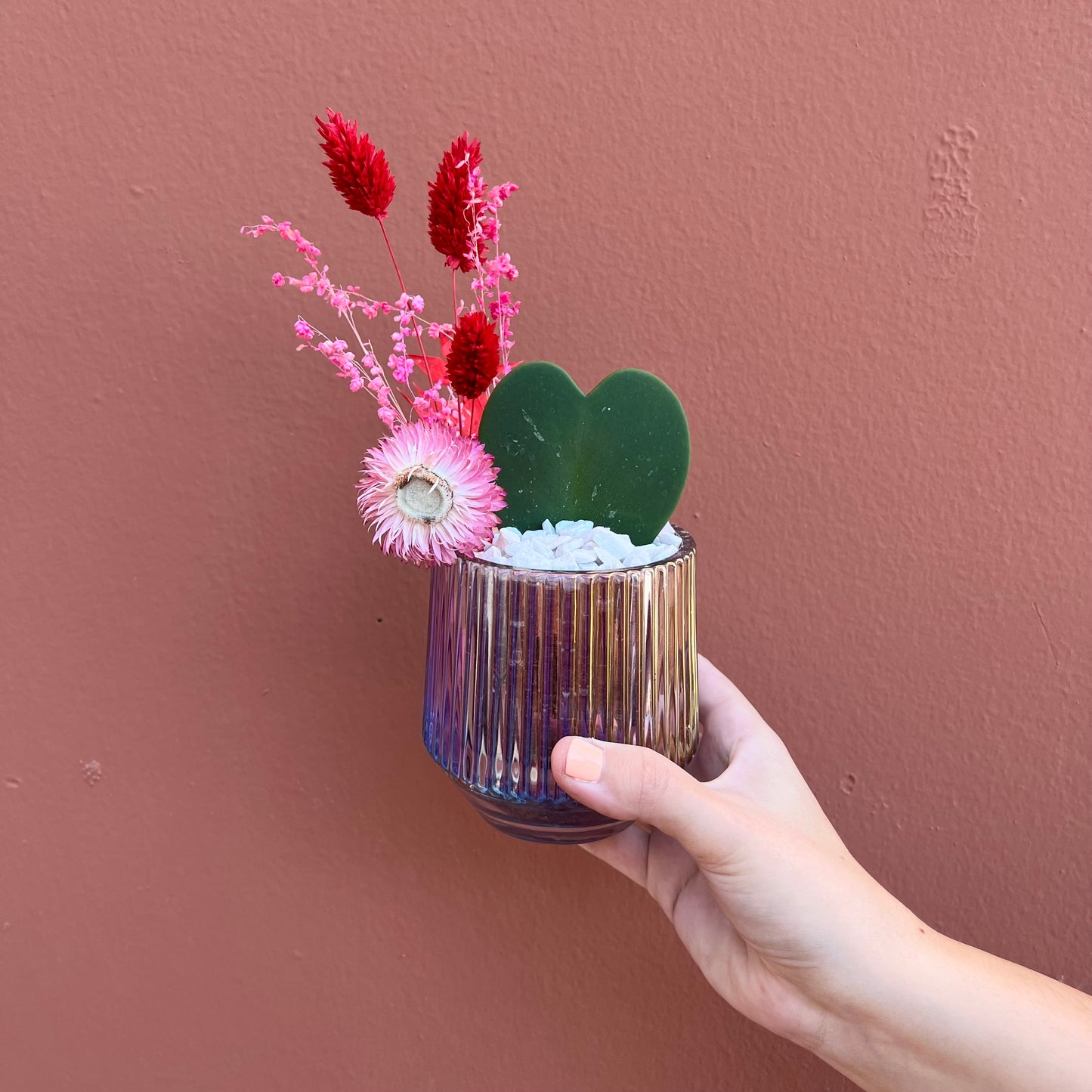 Heart Succulent - The English Garden