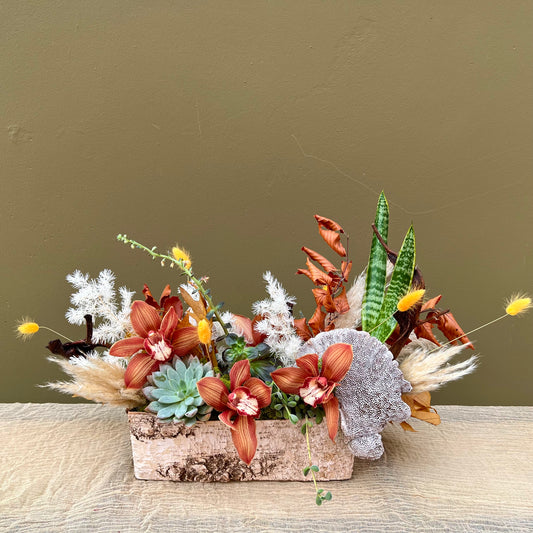 Fall Time Succulents and Cymbidiums - The English Garden