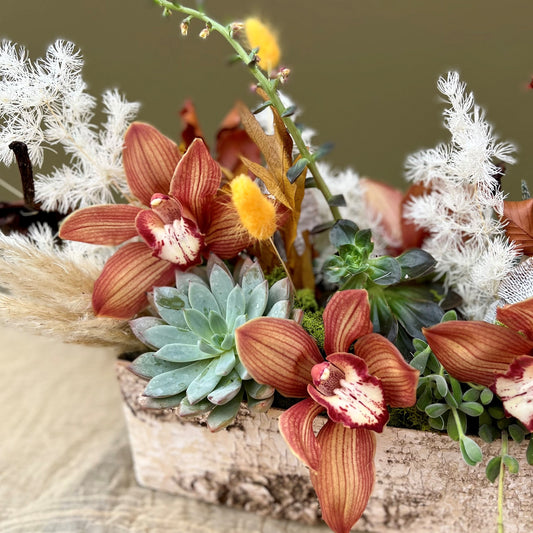 Fall Time Succulents and Cymbidiums - The English Garden