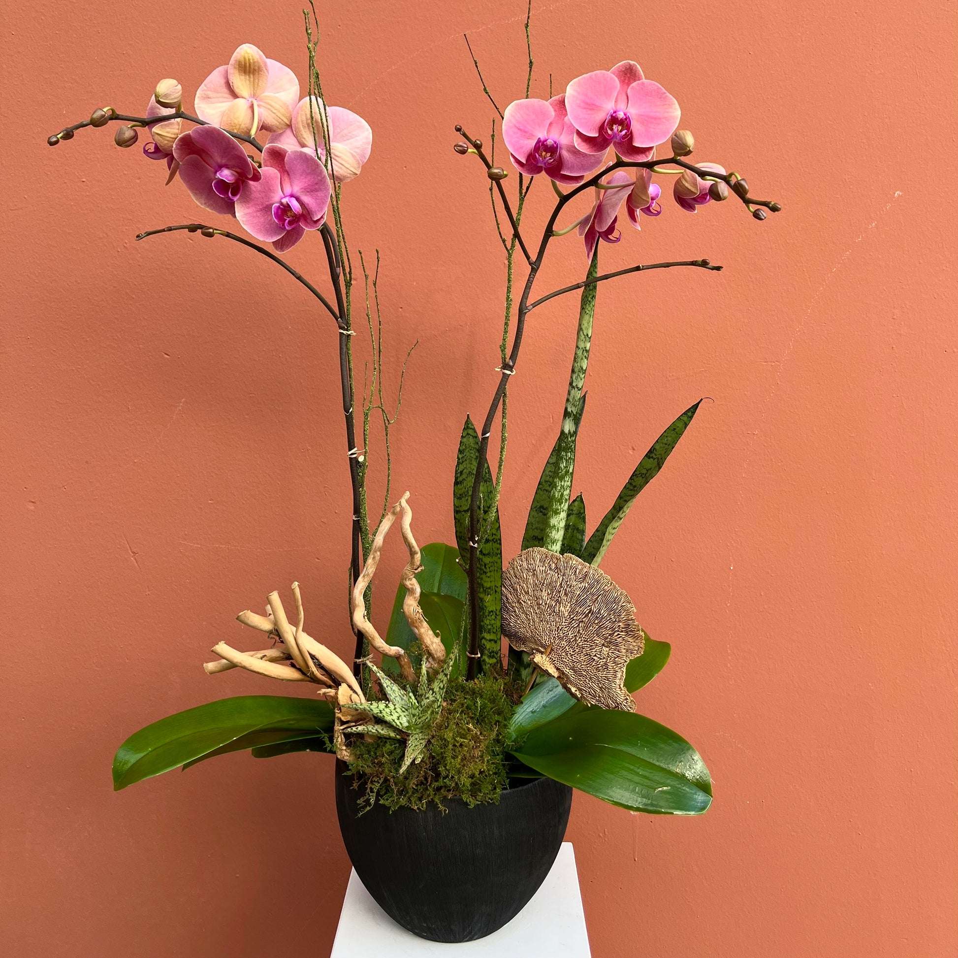 Custom Orchid Arrangement - The English Garden