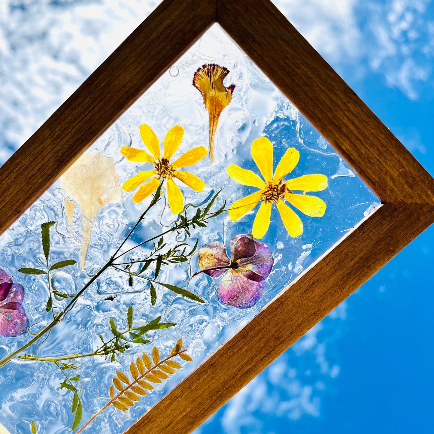 Framed Pressed Flowers - The English Garden