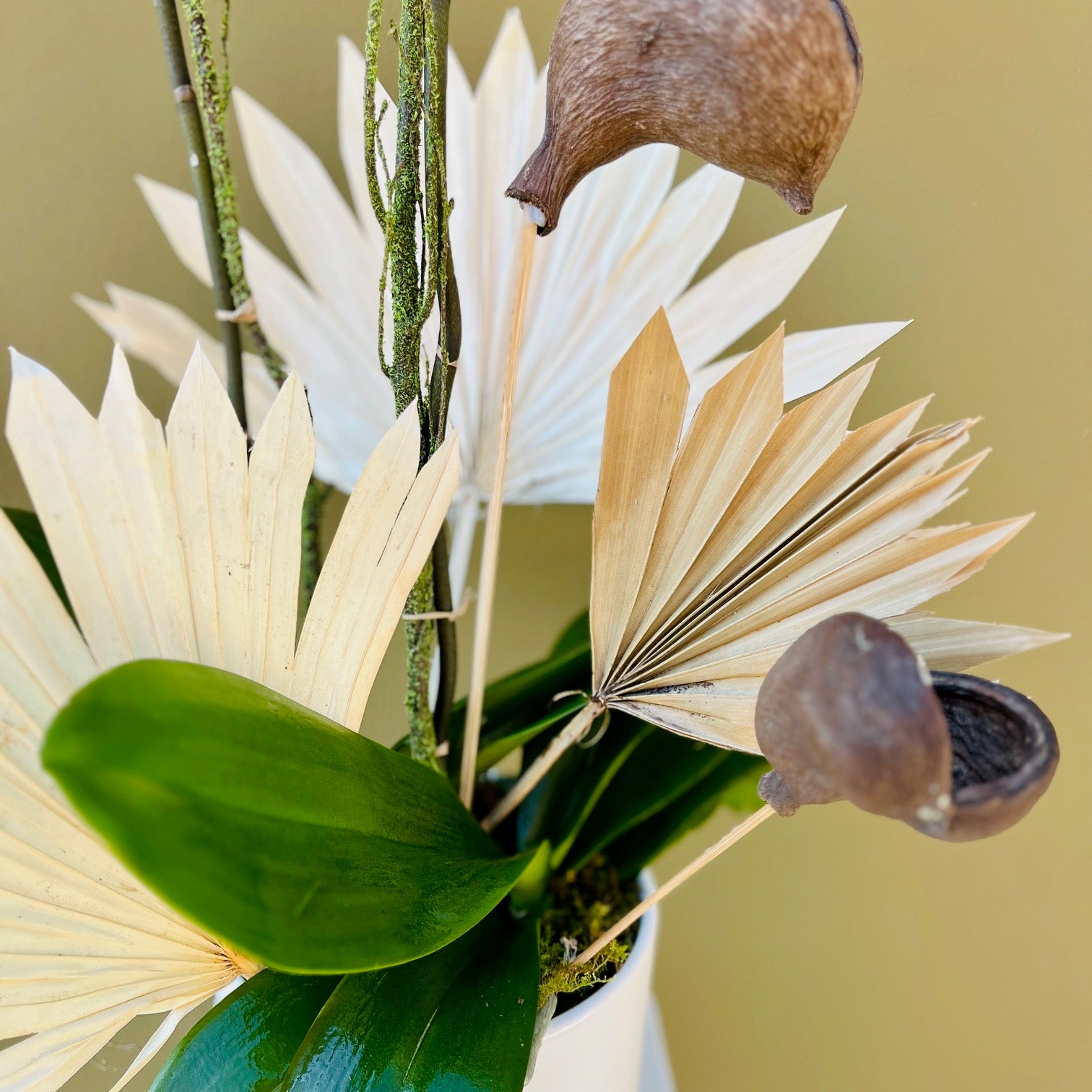 In The Tropics - The English Garden