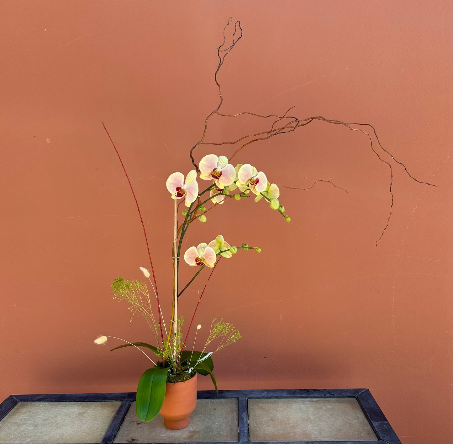 Custom Orchid Arrangement