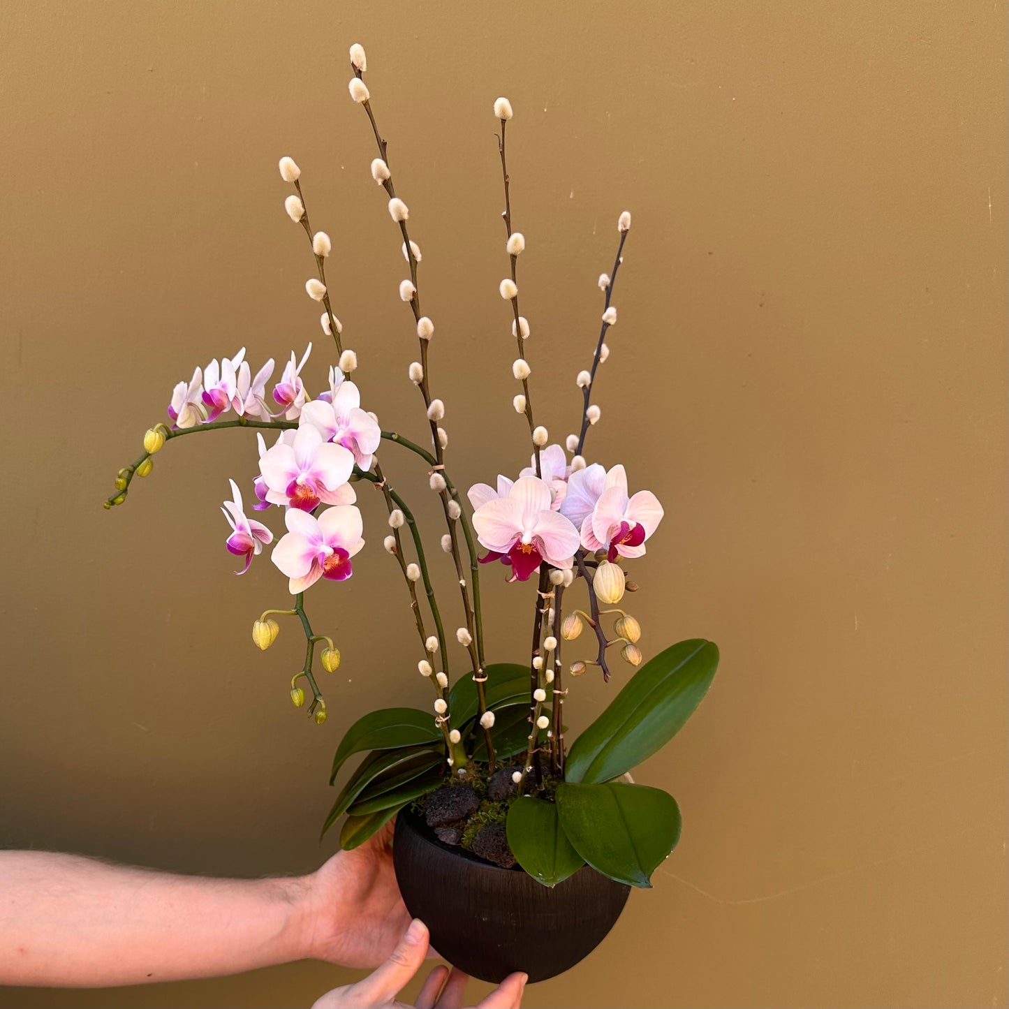 Highland Orchid