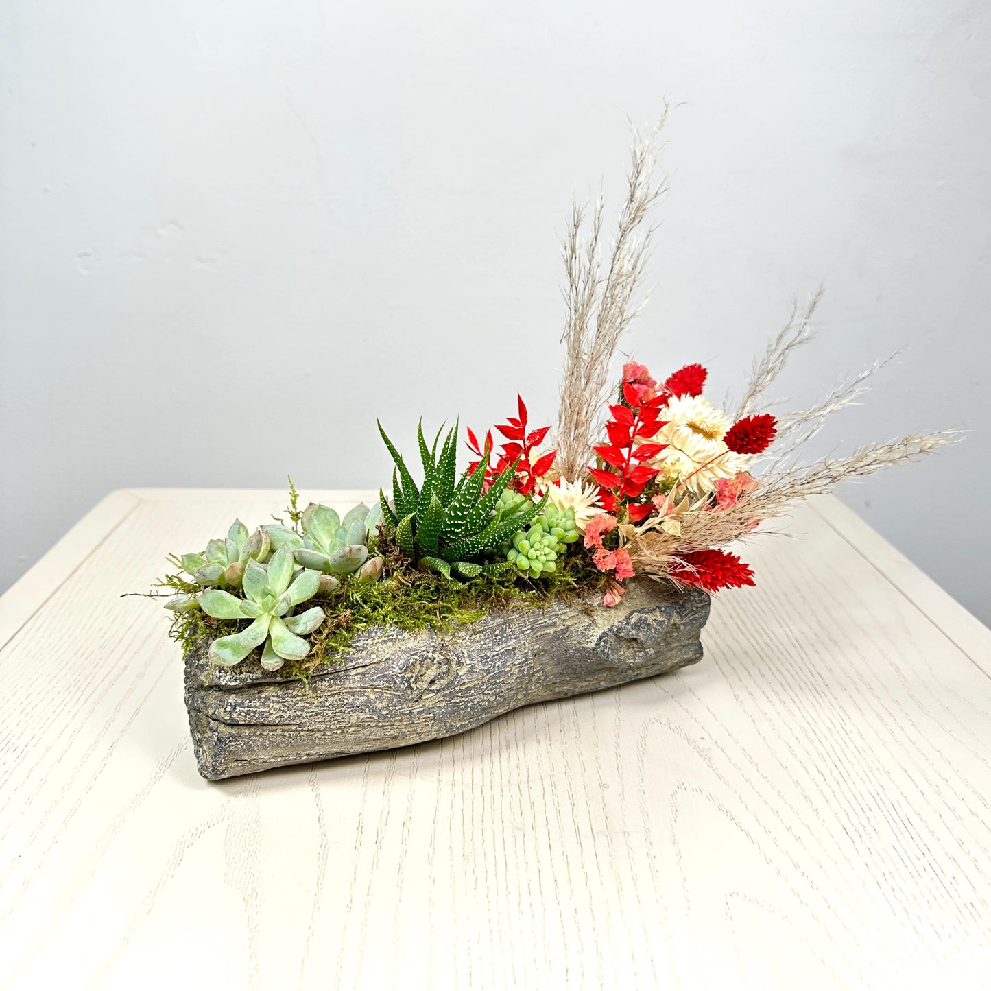 Succulent Log