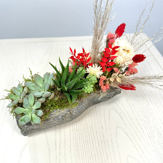 Succulent Log