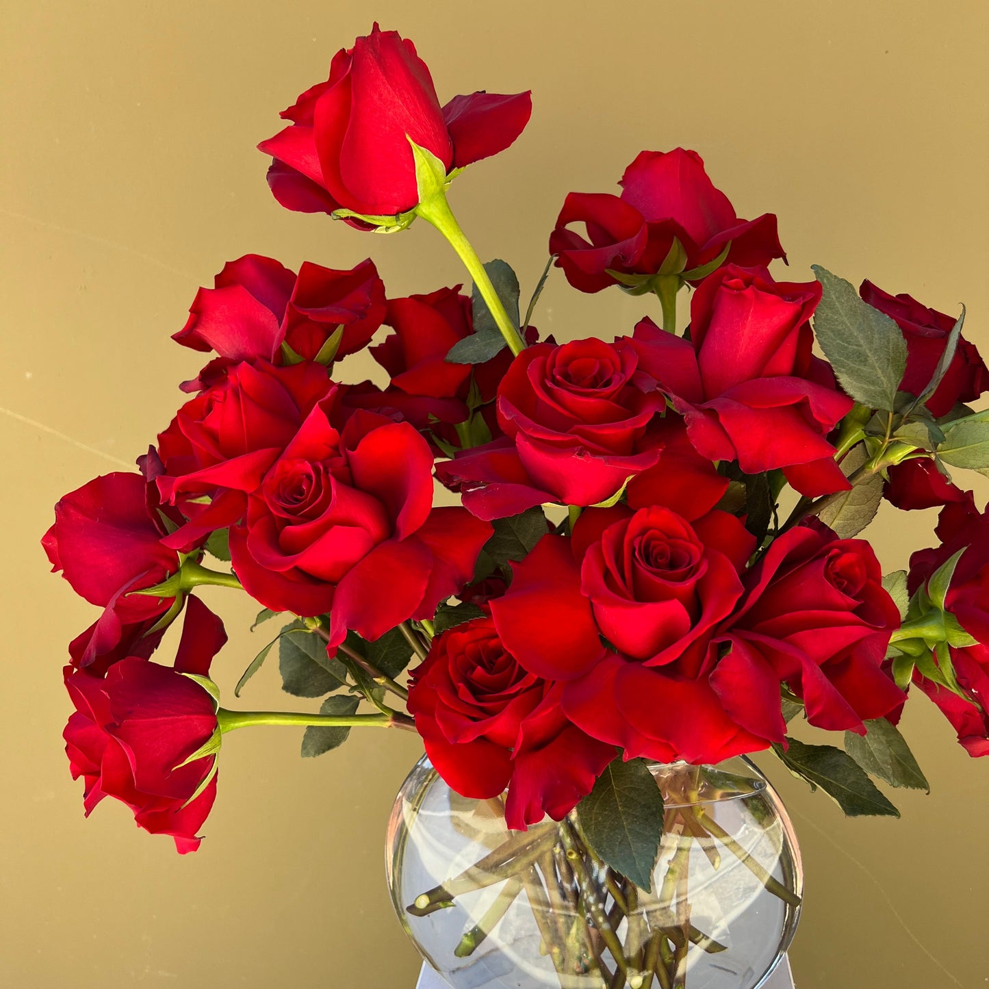 Be my Valentine - The English Garden