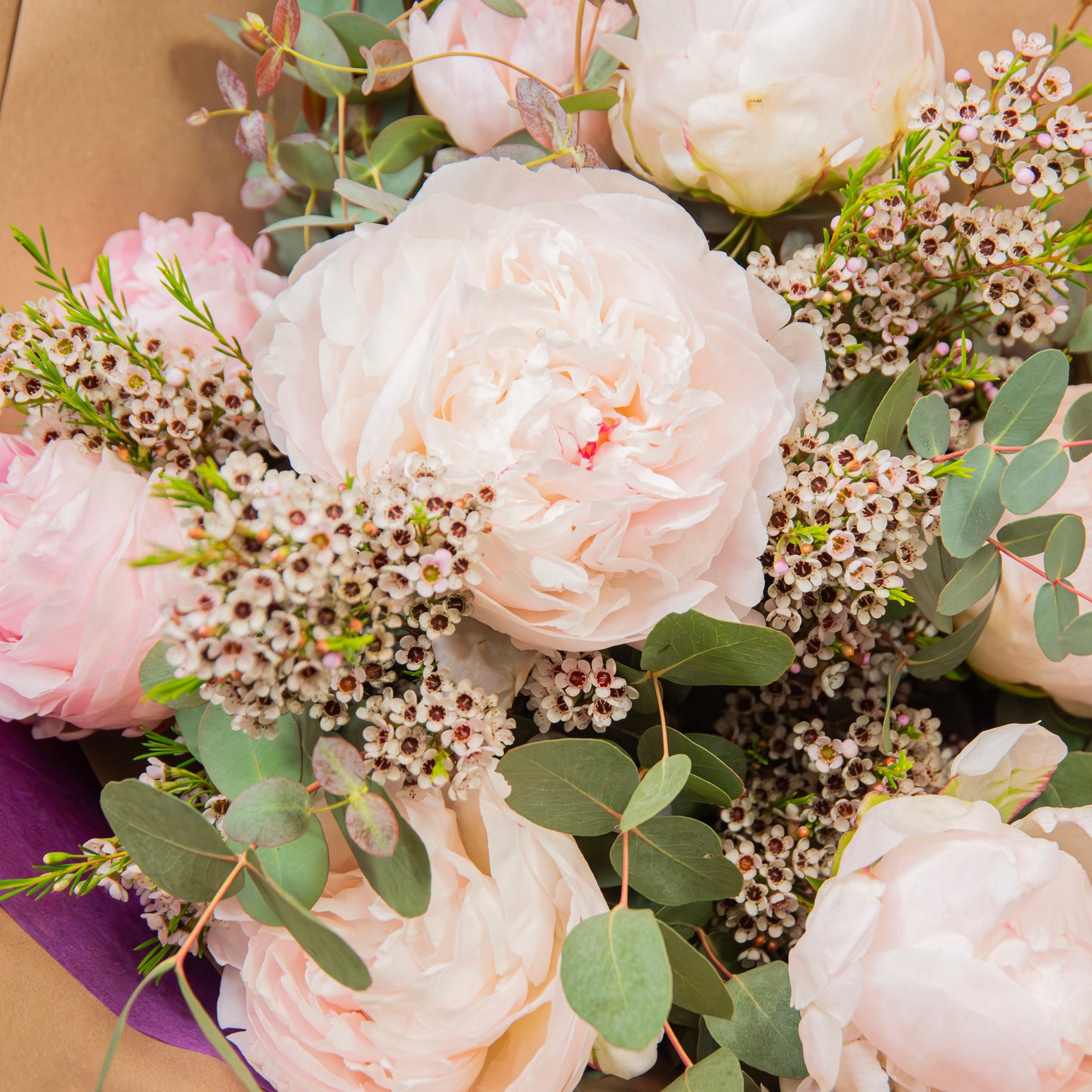 Peonies For Mom