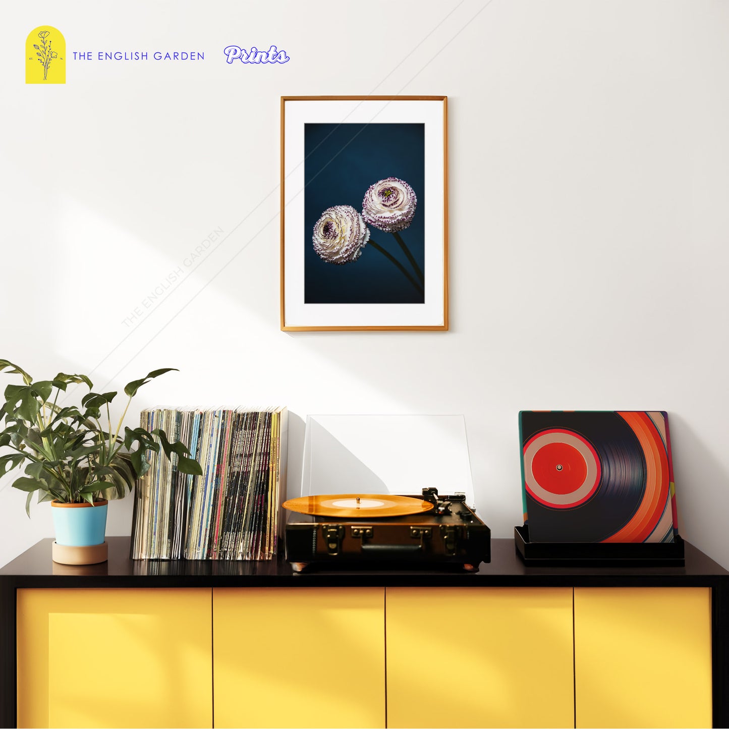 Purple Ranunculus Print (Digital Download)