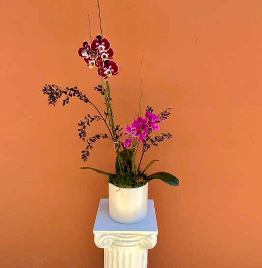 Orchid Subscription