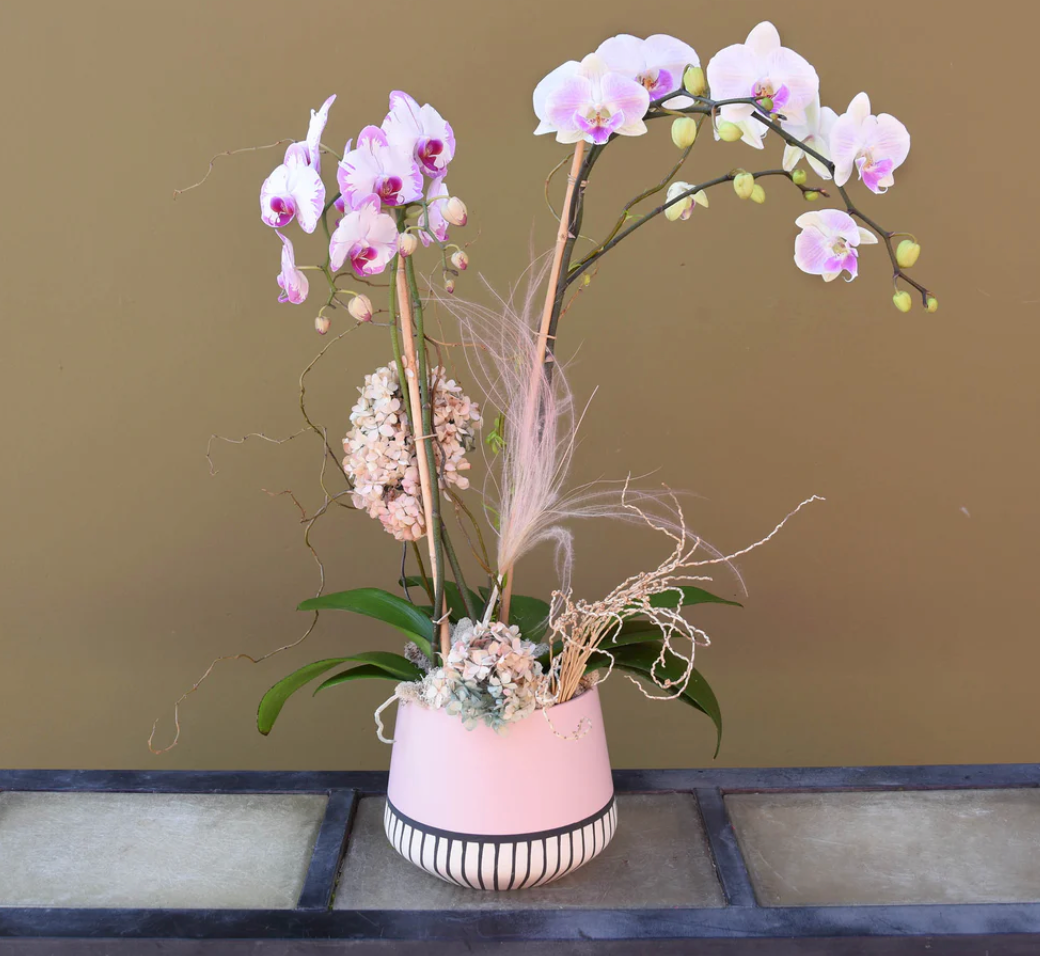 Orchid Subscription