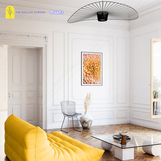 Sunrise Chrysanthemum Print (Digital Download)