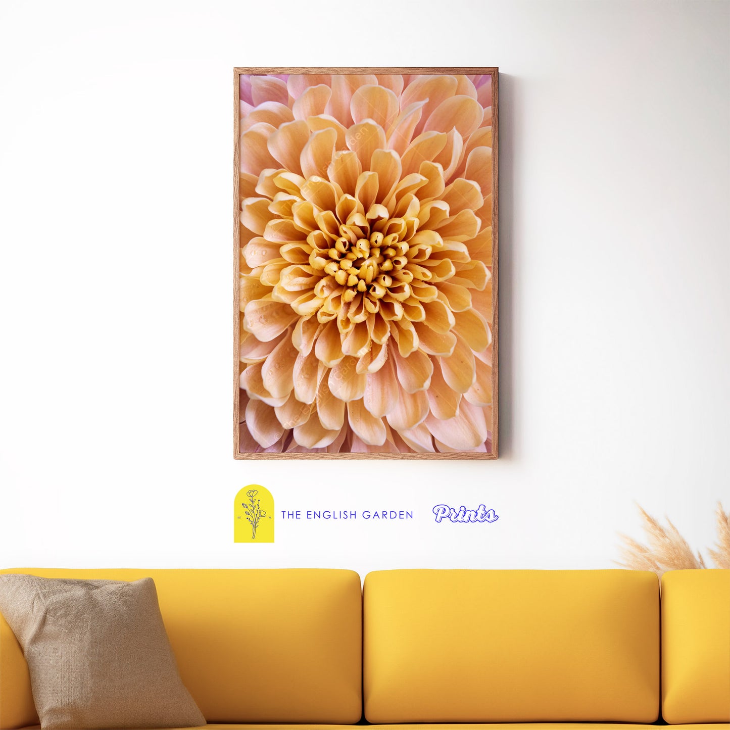 Sunrise Chrysanthemum Print (Digital Download)