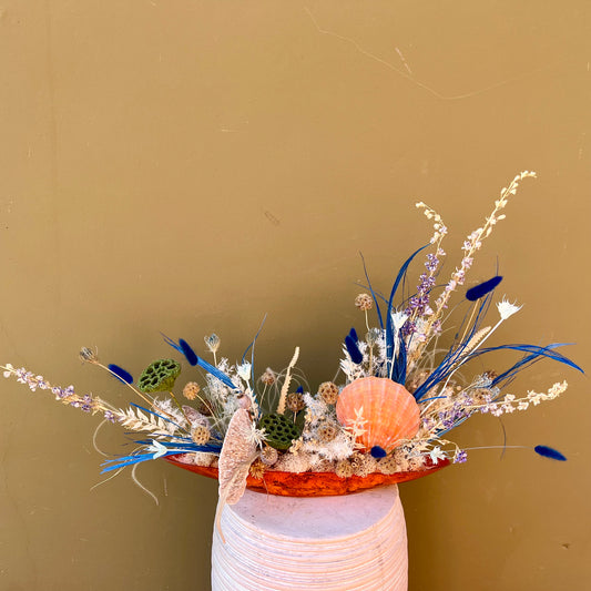 Under the Sea - The English Garden