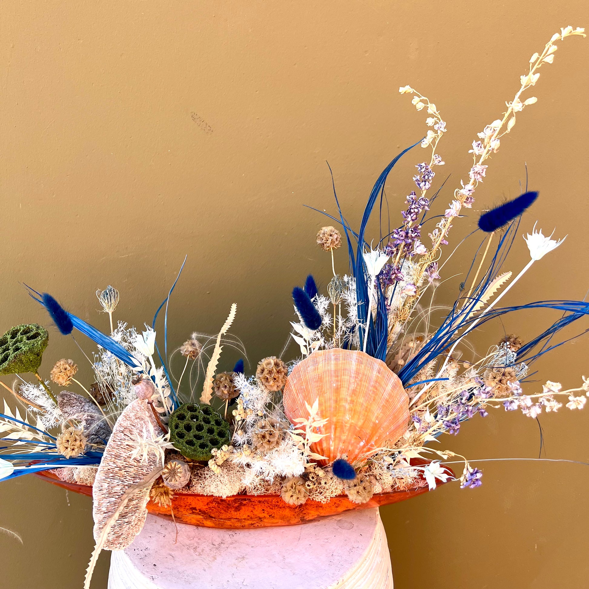 Under the Sea - The English Garden