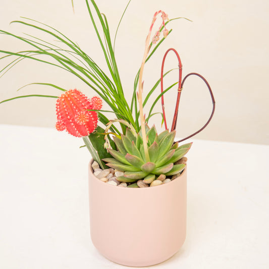 Love, From California