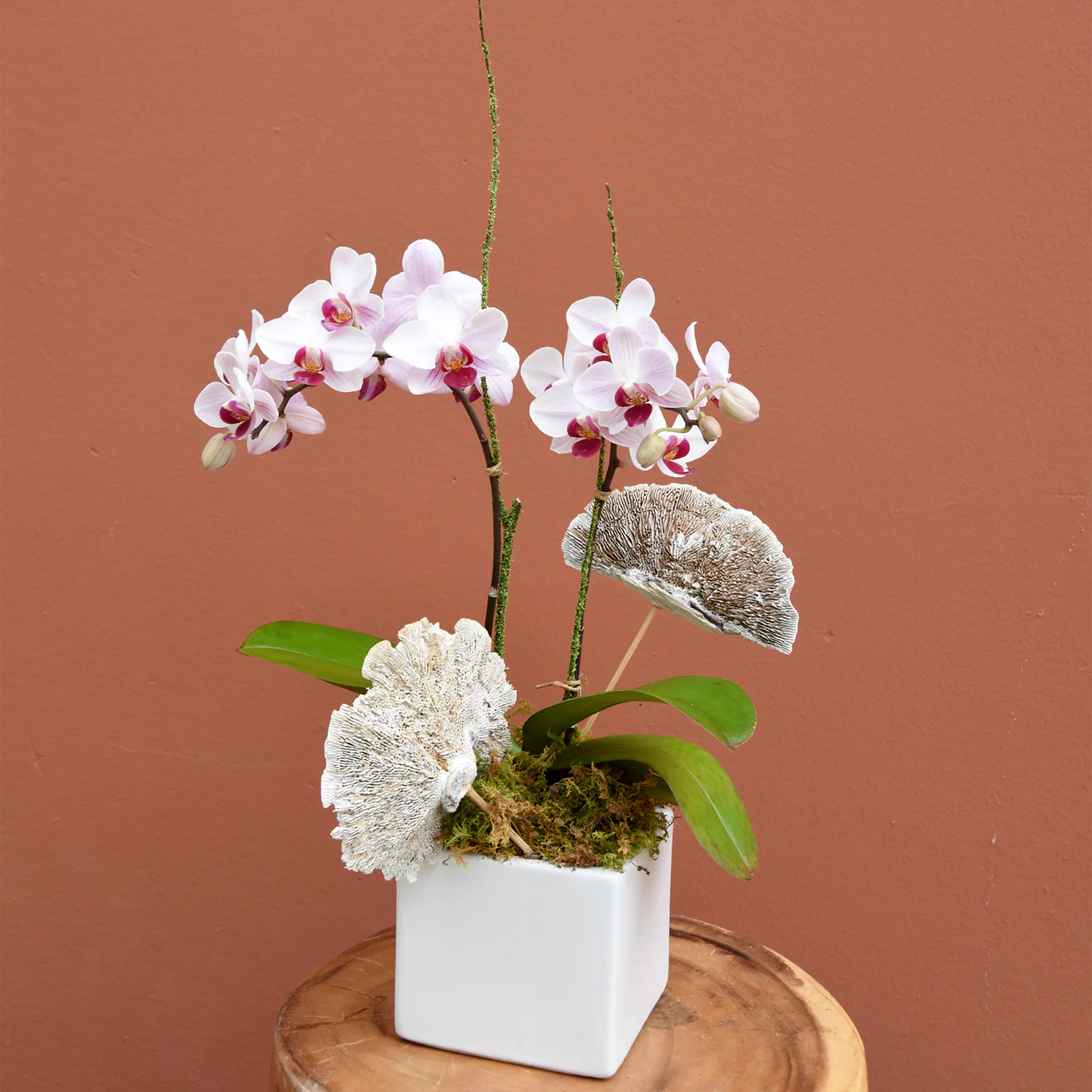 Botanica - The English Garden