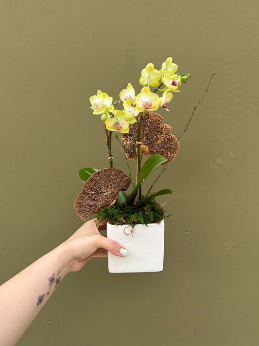 Botanica - The English Garden