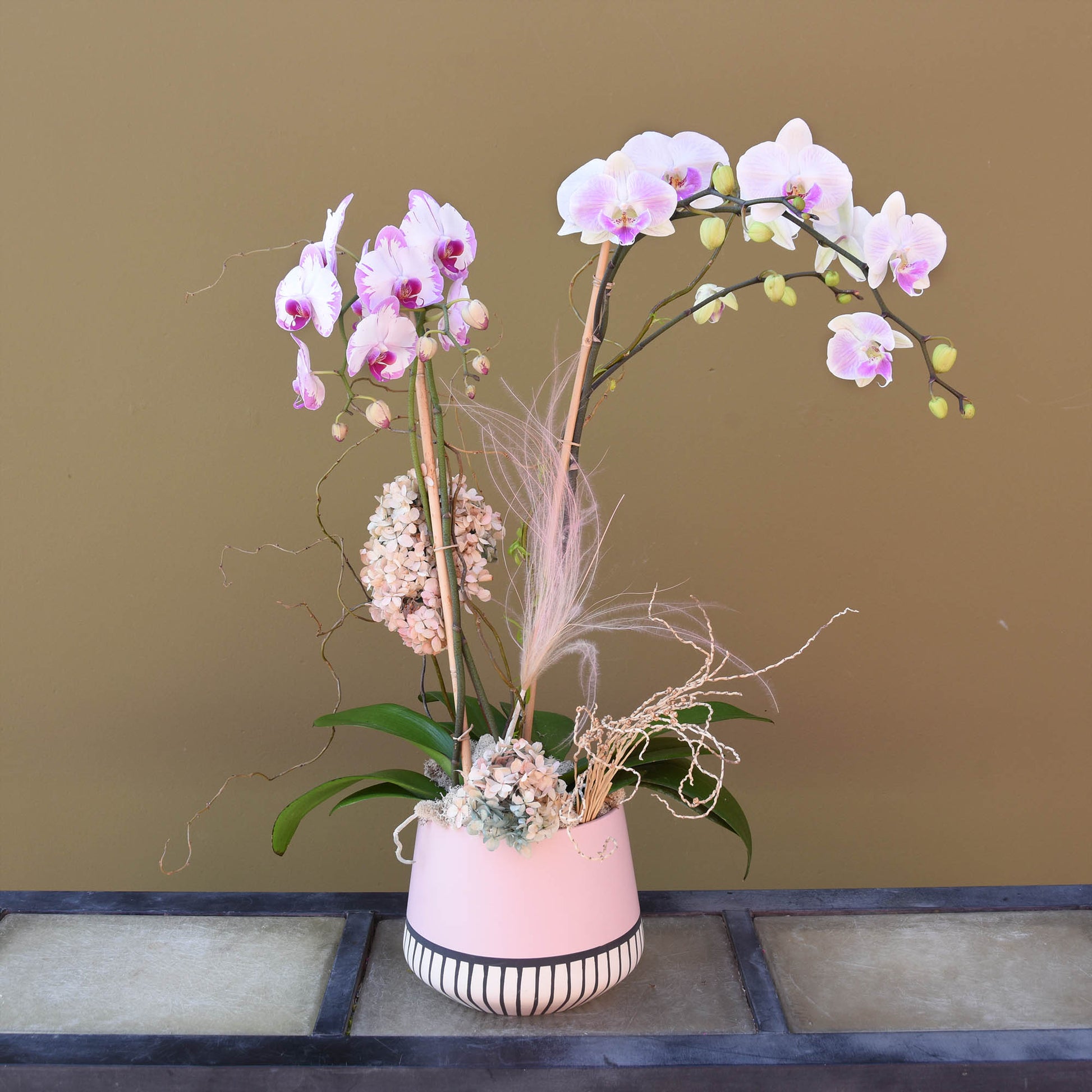 Custom Orchid Arrangement - The English Garden