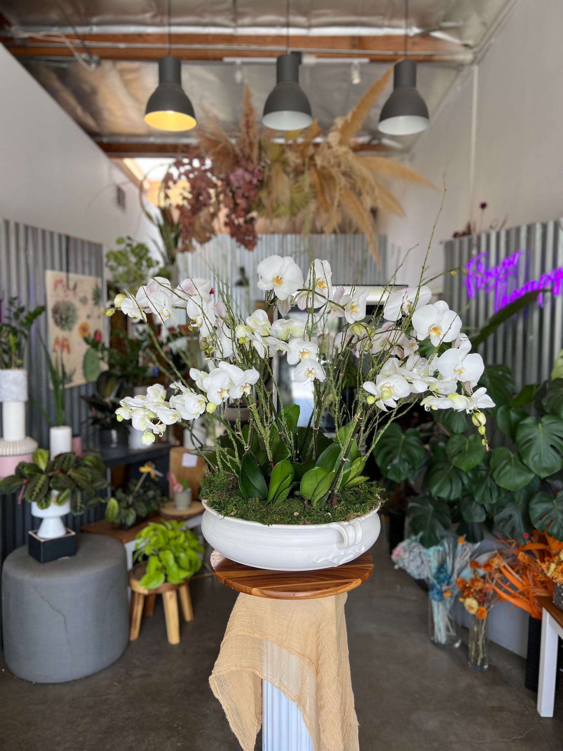 Custom Orchid Arrangement - The English Garden