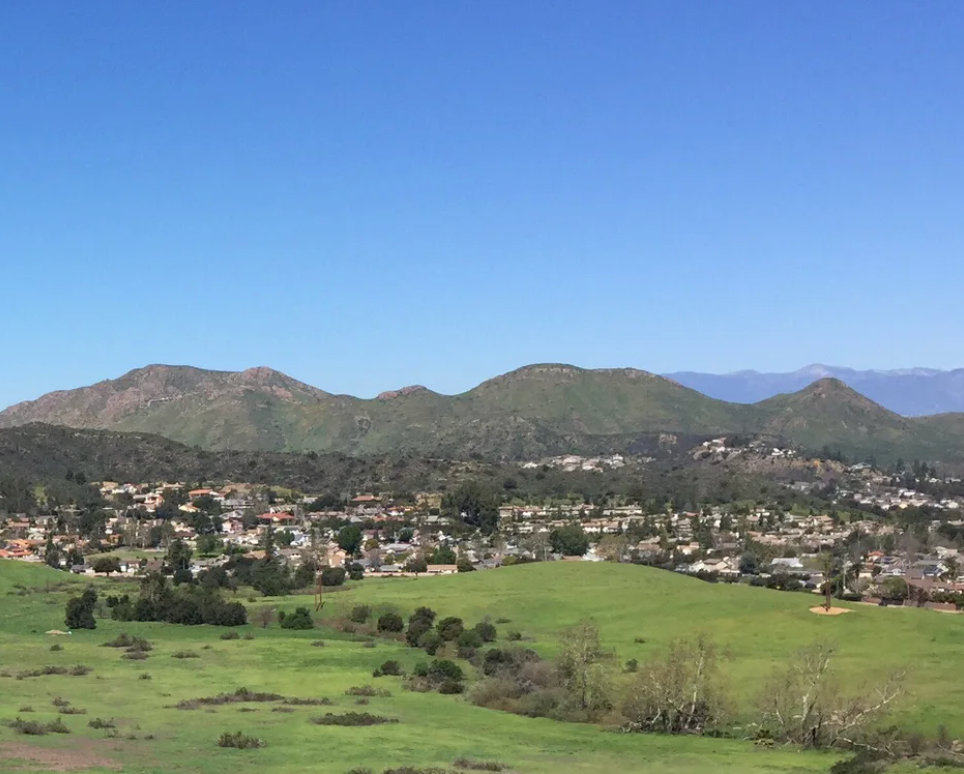 newbury park flower delivery