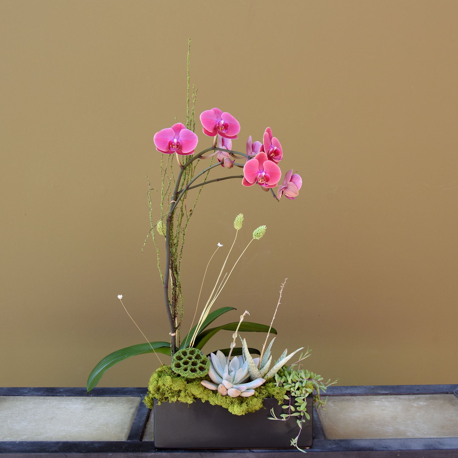 Custom Orchid Arrangement - The English Garden