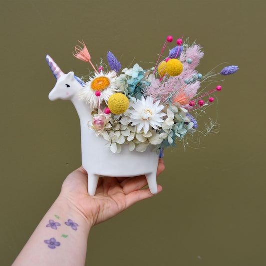 Lucille The Rainbow Unicorn - The English Garden