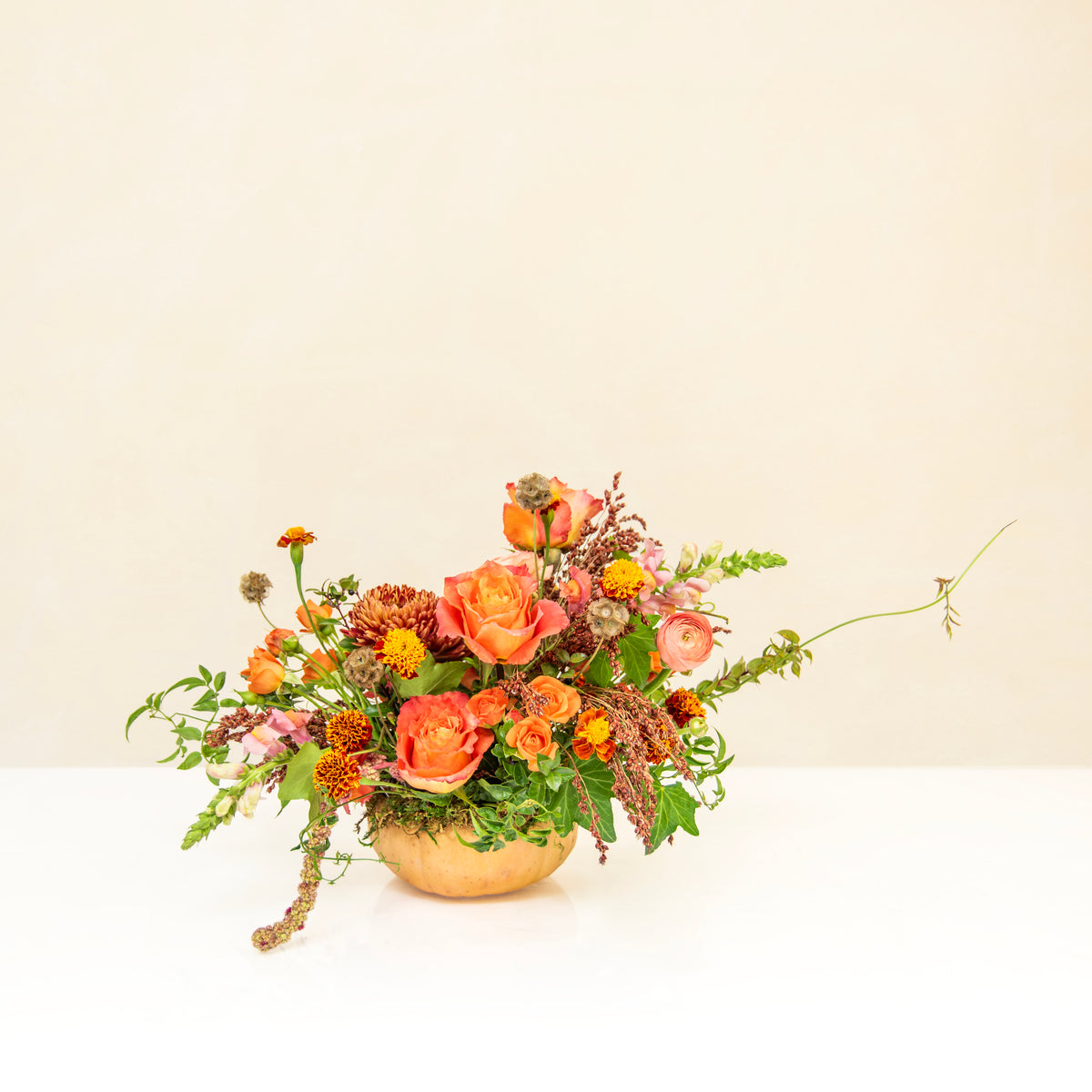 Gorgeous Gourd