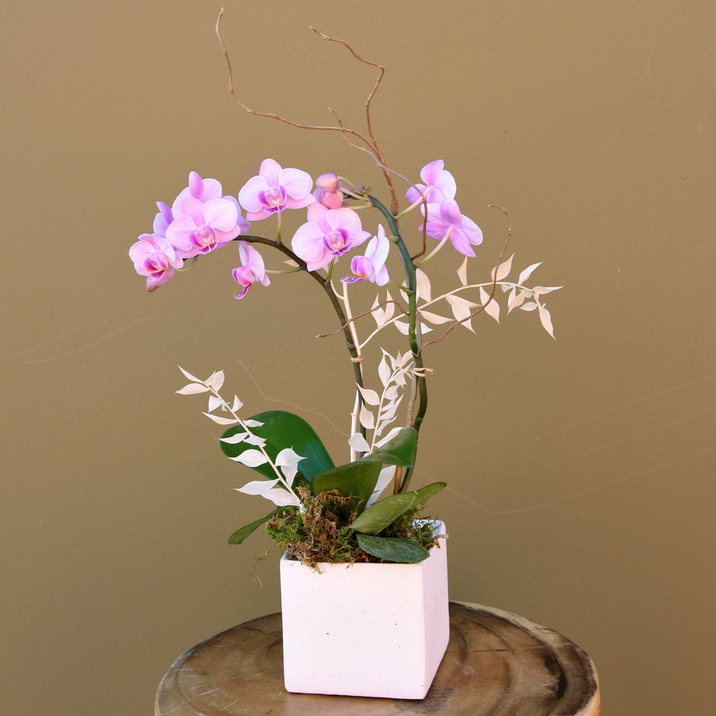 Whimsy - The English Garden