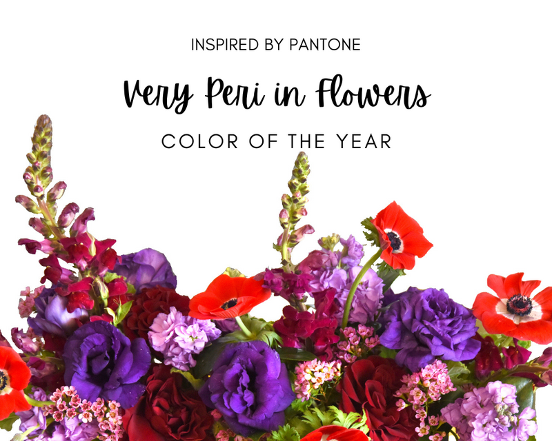 Pantone Very Peri Flowers and Plant for Valentine's Day