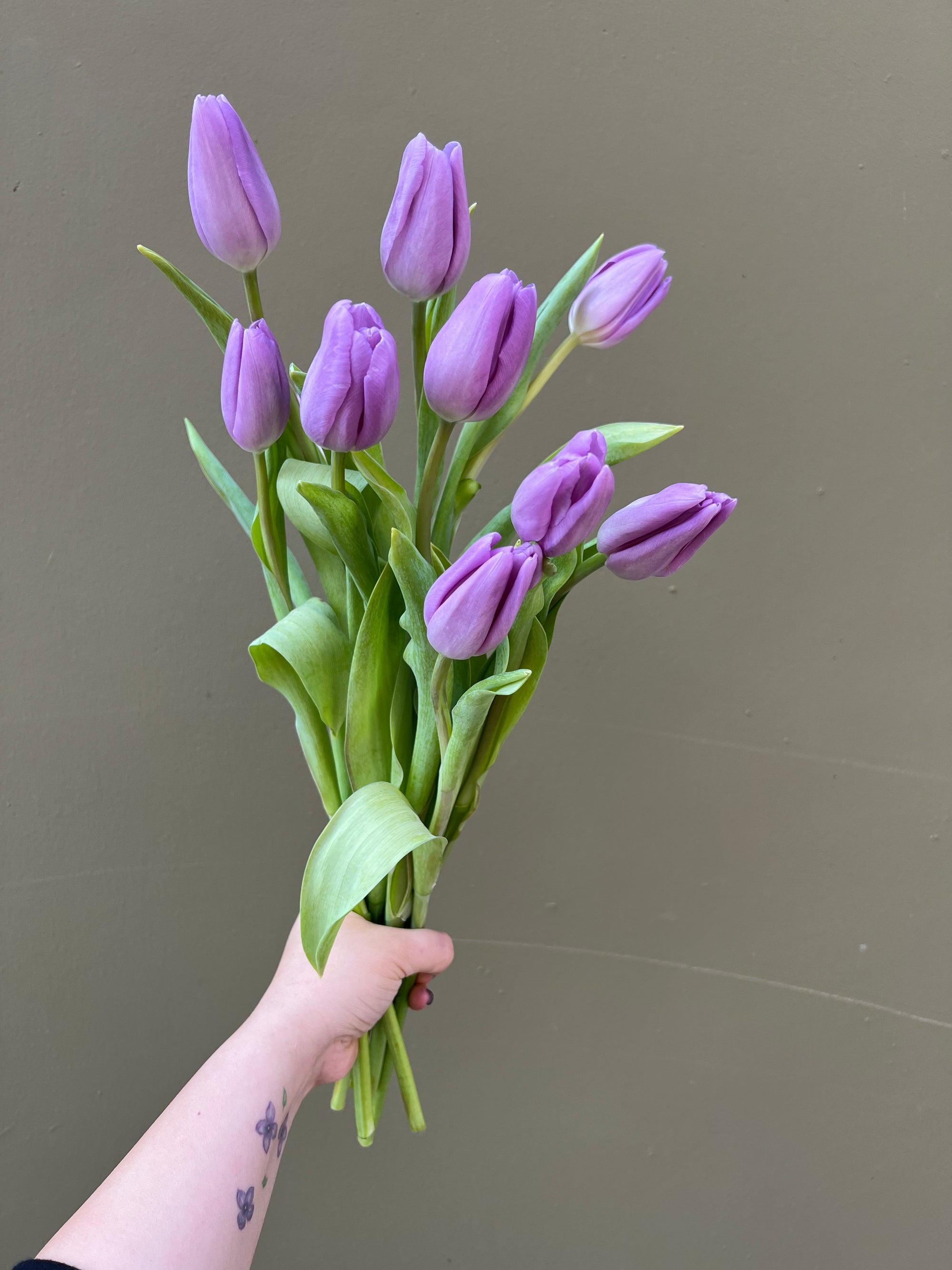 Grocery Store VS Florist Flowers What's The Difference? & The English