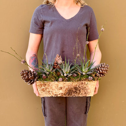 Woodland Succulent Arrangement - The English Garden