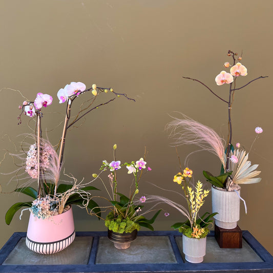 Custom Orchid Arrangement - The English Garden