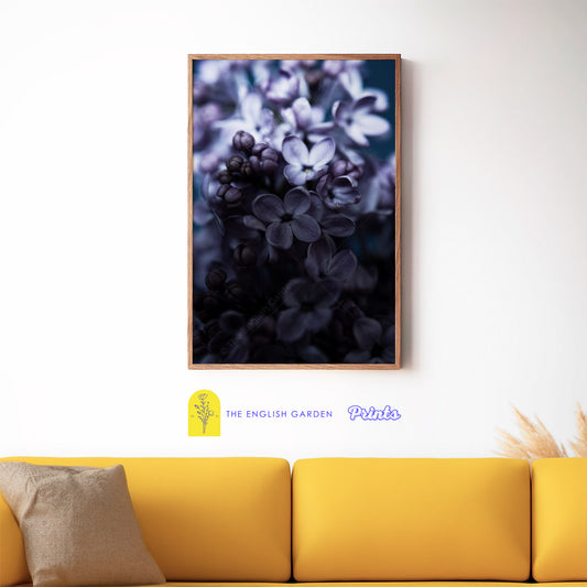 Dark Lilac Print (Digital Download)