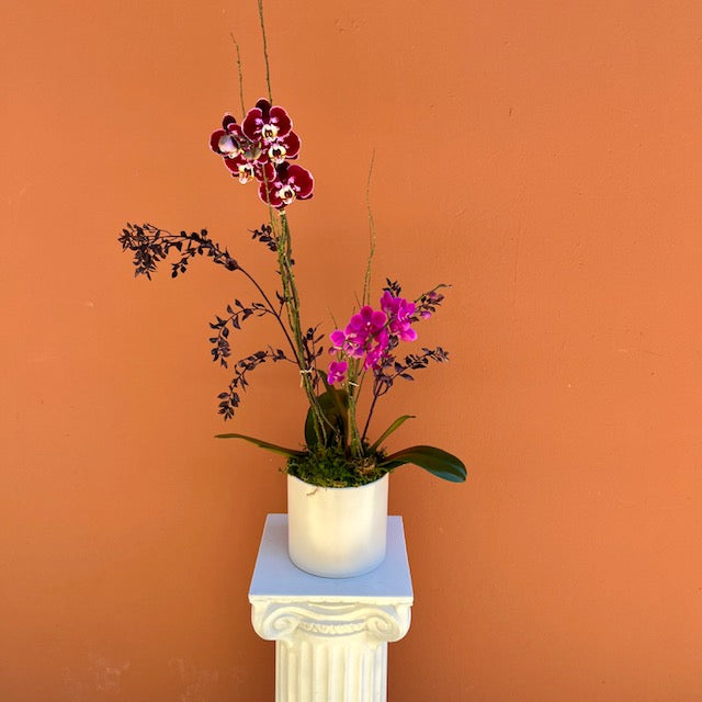 Custom Orchid Arrangement - The English Garden