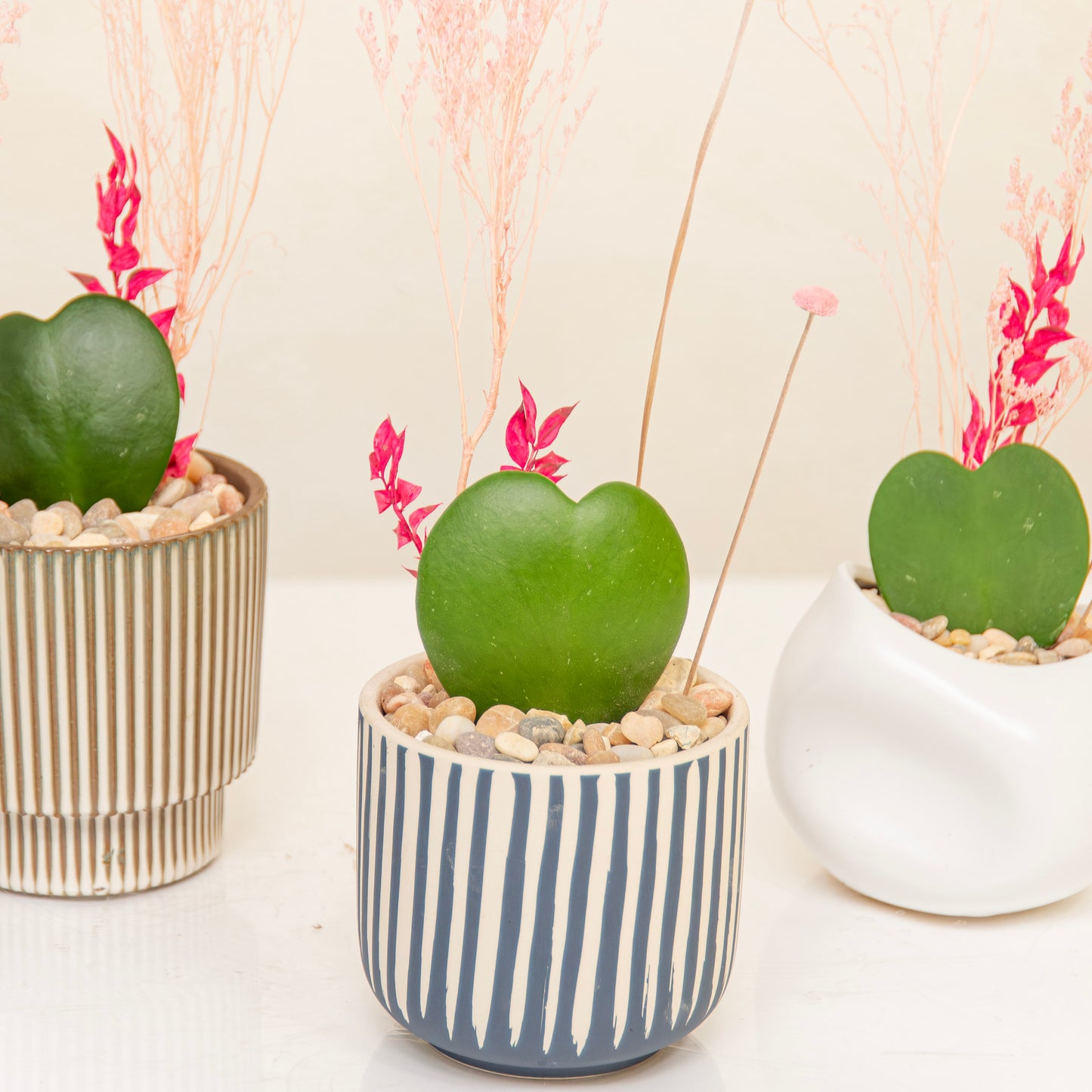 Heart Succulent