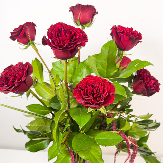 Valentine's Classic Dozen Roses