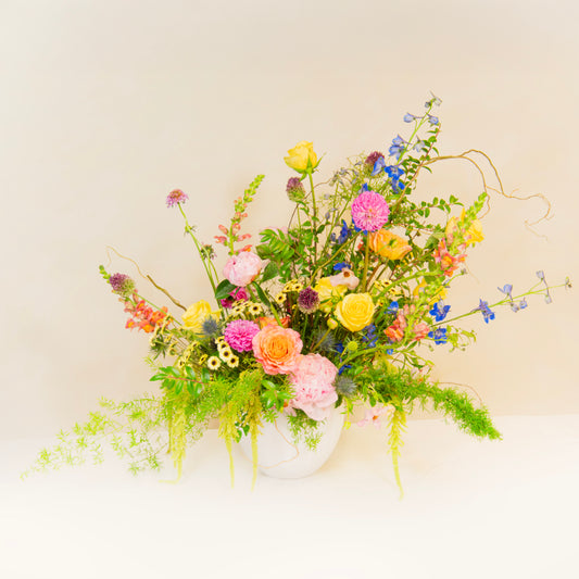 Luxury Designer's Choice