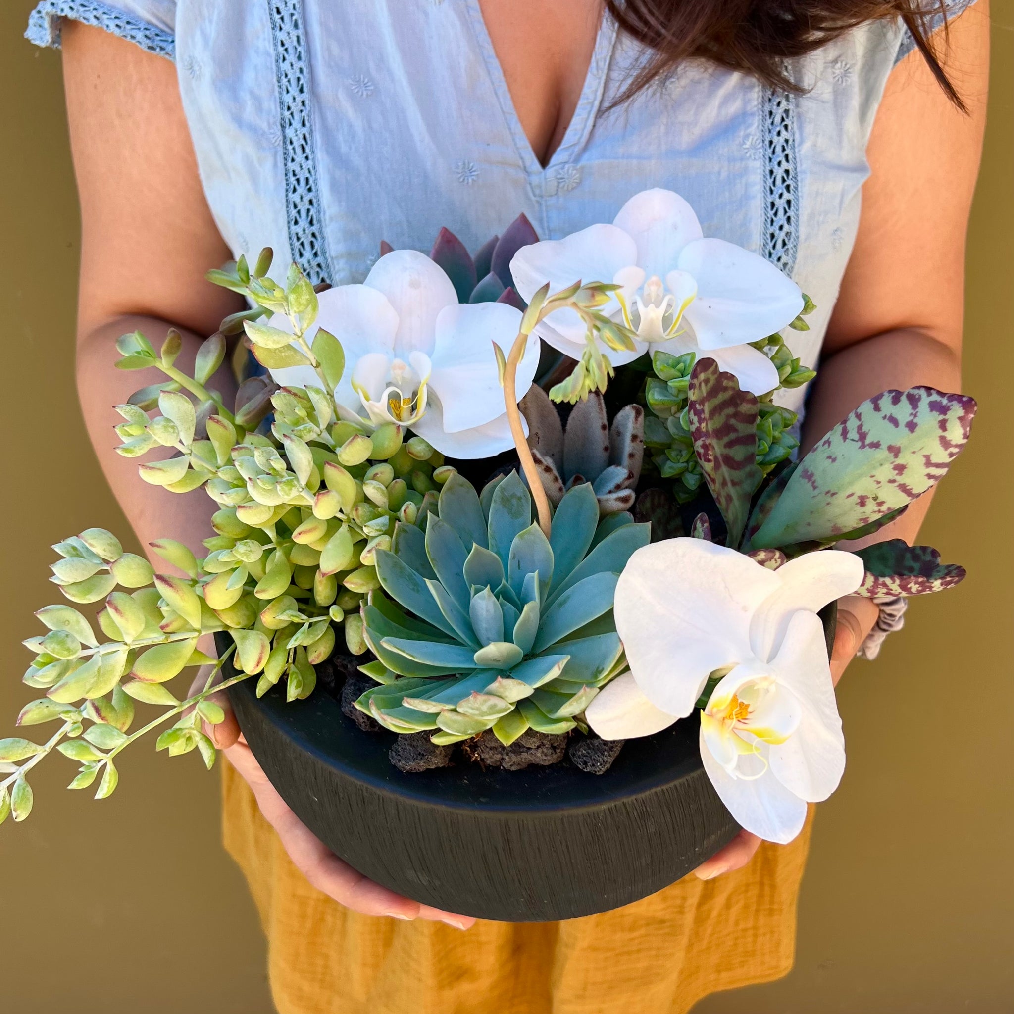 "Malibu Oasis" | Succulent and Phalaenopsis Orchid Arrangement - The English Garden