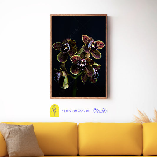 Neon Orchid Print (Digital Download)
