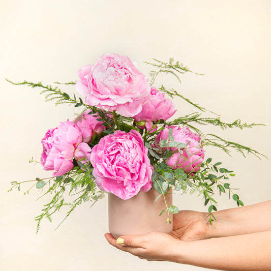 Peony Perfect