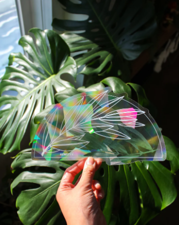 Suncatchers (Rainbow-Making)