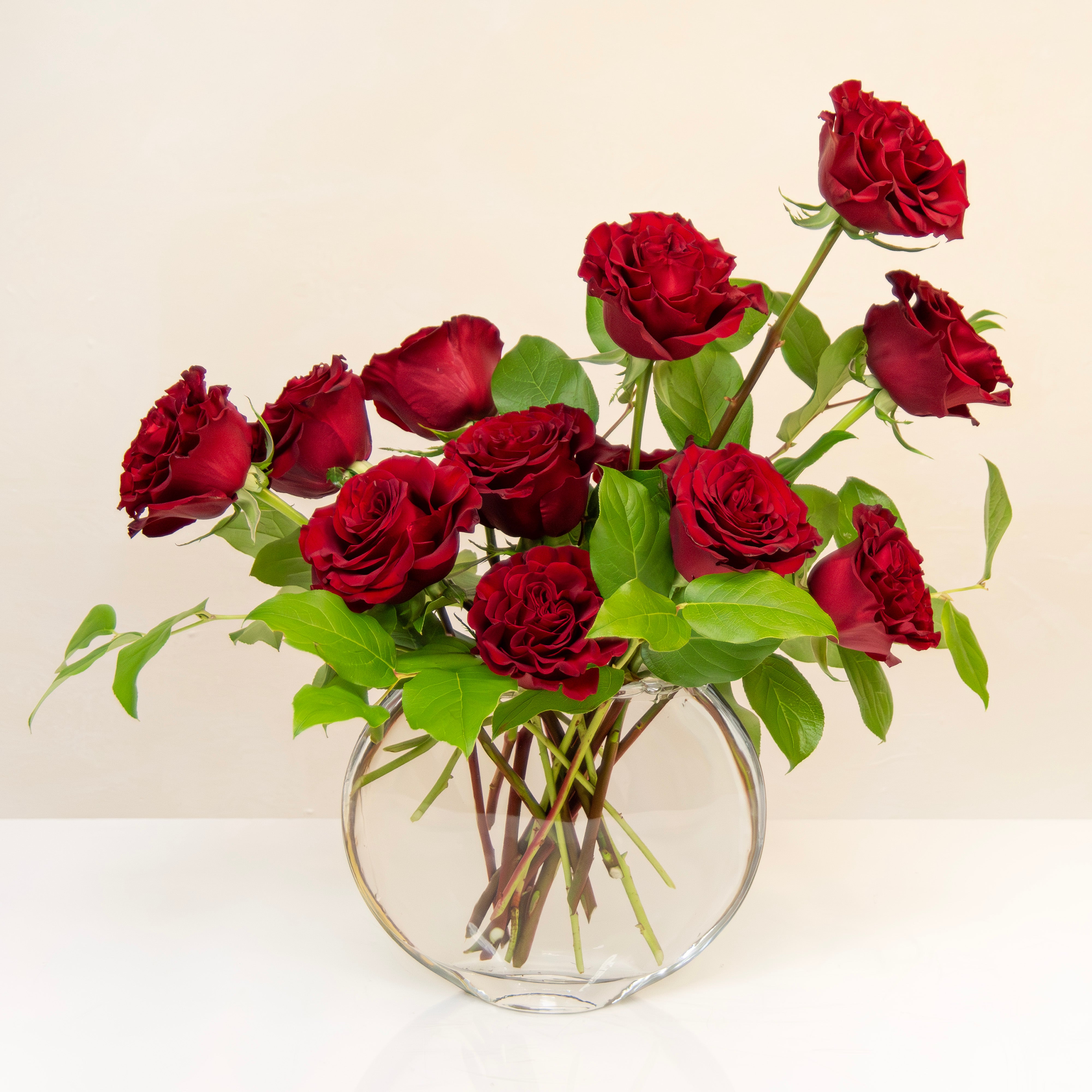 Contemporary Roses & The English Garden