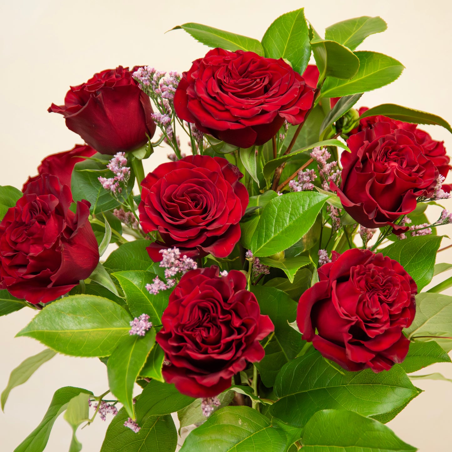 Valentine's Classic Dozen Roses
