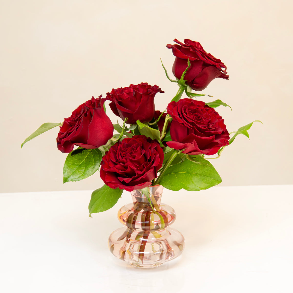 Half Dozen Roses & The English Garden