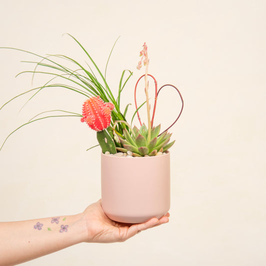 Love, From California