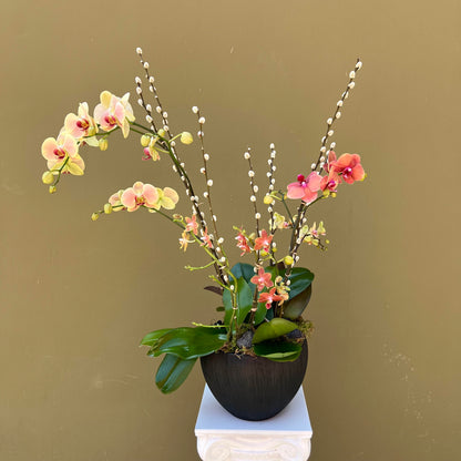 Custom Orchid Arrangement