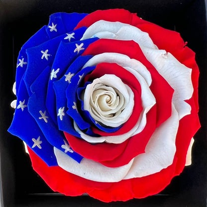 Hand Painted Preserved Patriotic Rose - The English Garden